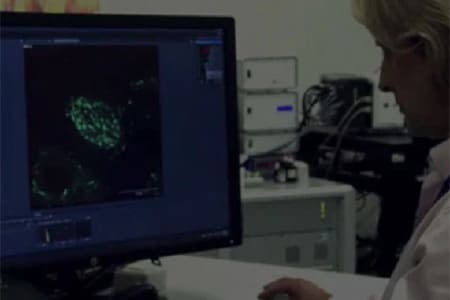 Pic from 'Carl Zeiss Microscopy' video